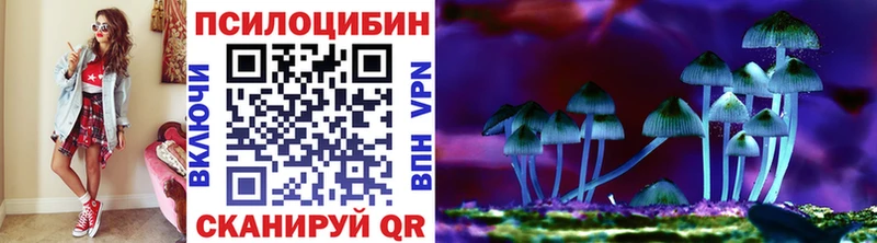 Купить  Енисейск  Галлюциногенные грибы прущие грибы 